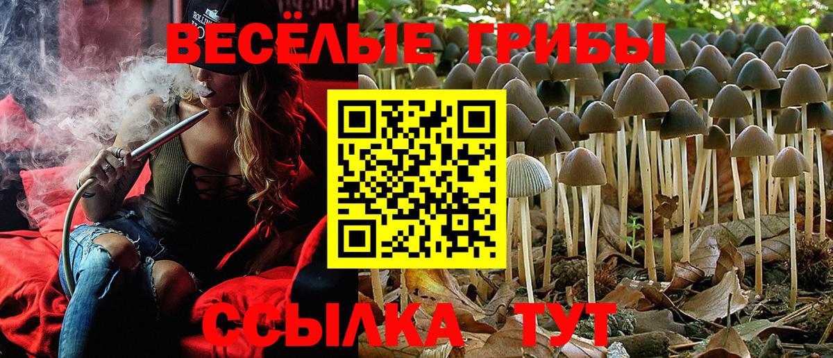 Галлюциногенные грибы GOLDEN TEACHER  Галлюциногенные грибы прущие грибы  Вход с VPN  Волжский 