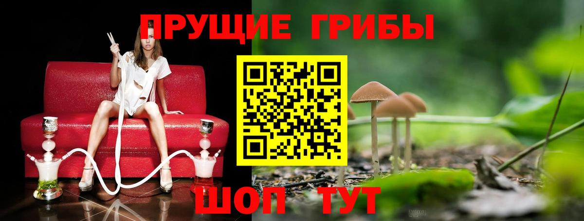 Псилоцибиновые грибы ЛСД Волжский